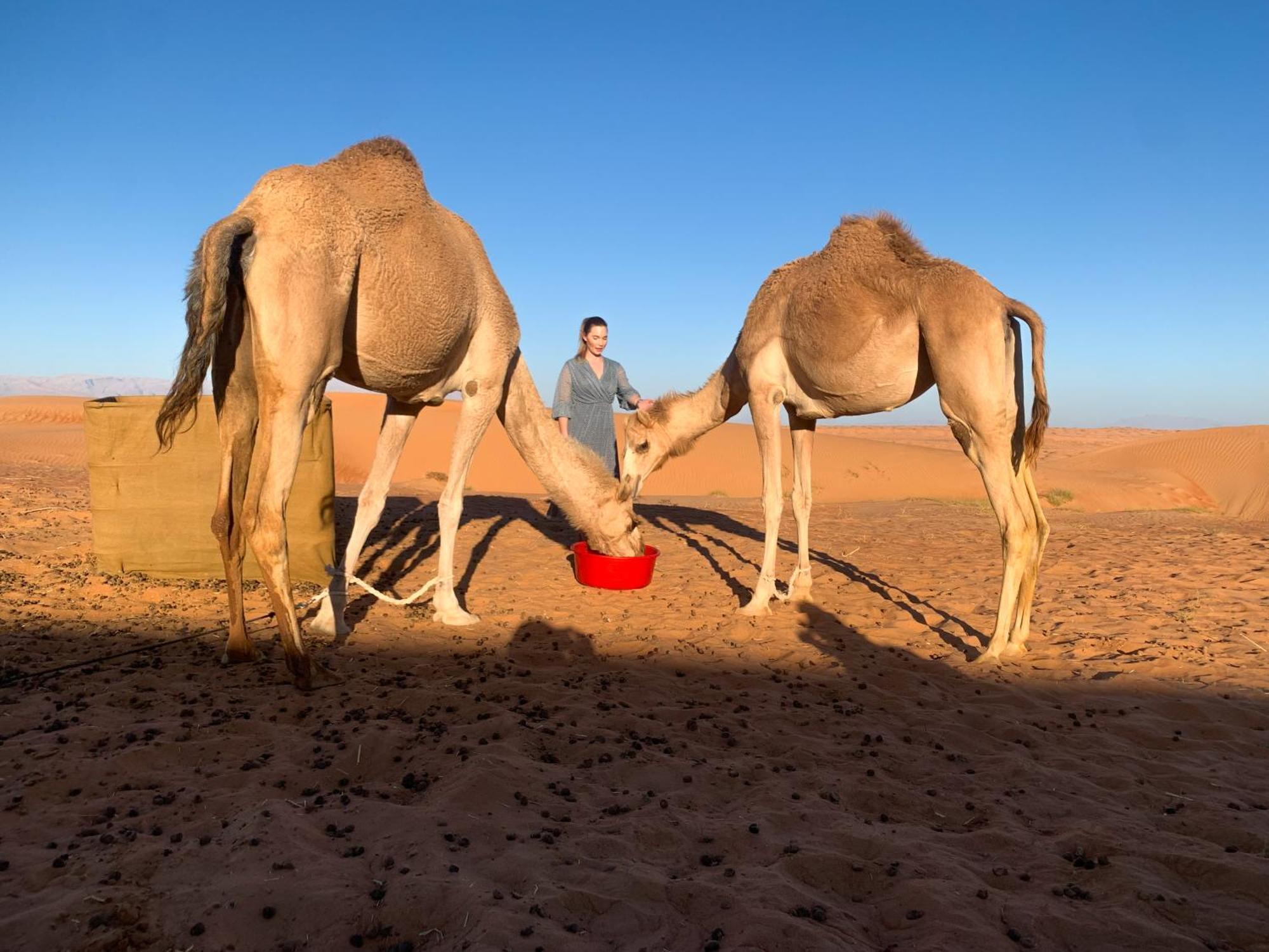 Wahiba Bedouiens Privae Camp Otel Badīyah Dış mekan fotoğraf